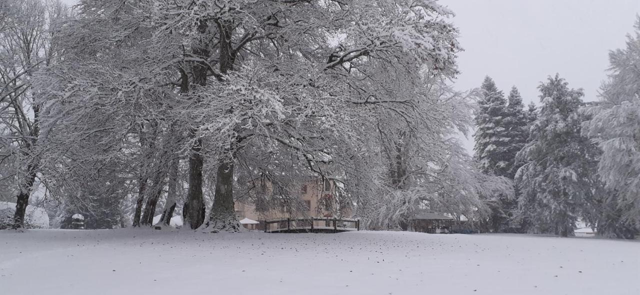 Domaine De Marchal - Chambres Et Table D'Hotes Celles-Sur-Durolle Экстерьер фото
